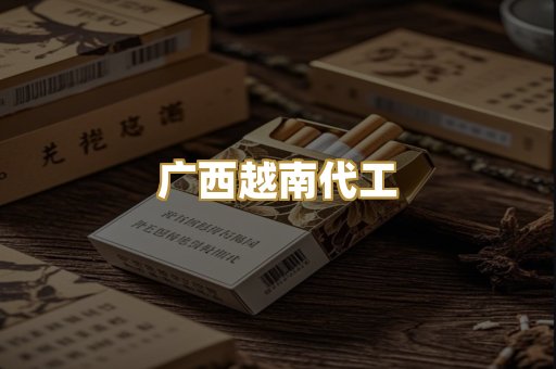 广西越南代工